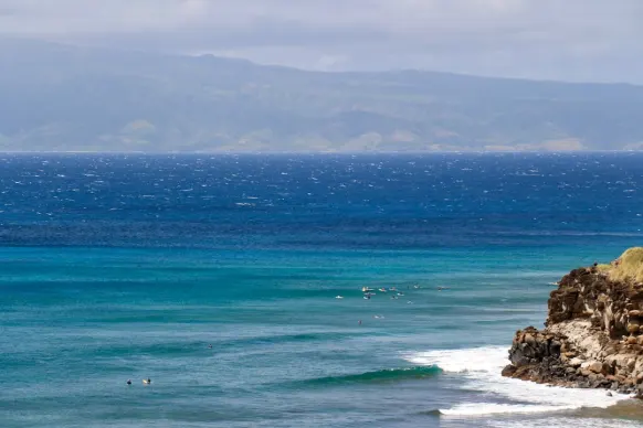 Kasino Two Fat Ladies Bingo Sokongan